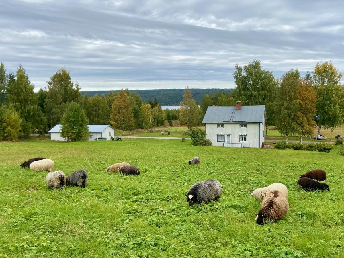 Vildmarksgard Lillviken Strömsund Екстериор снимка