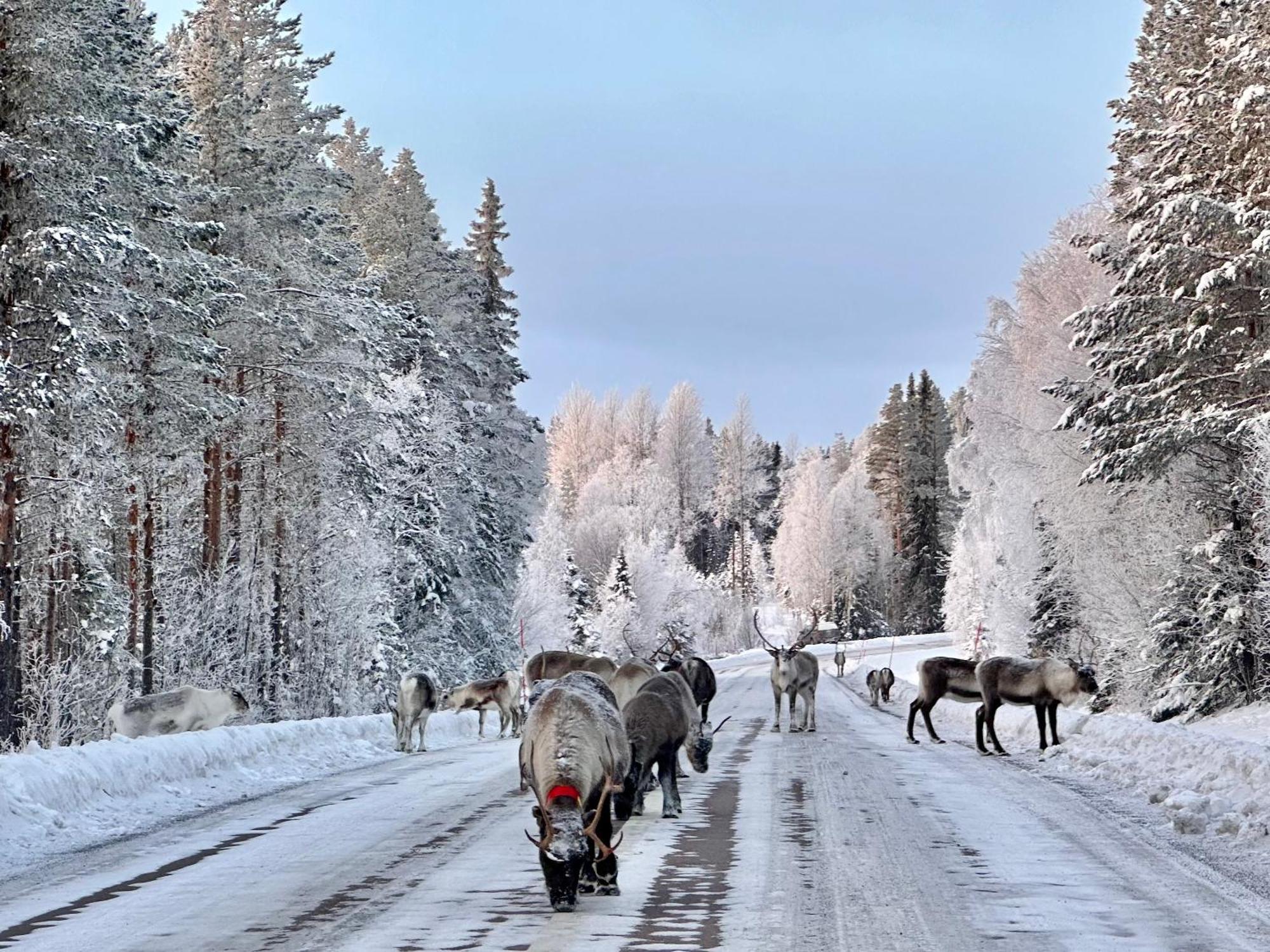 Vildmarksgard Lillviken Strömsund Екстериор снимка